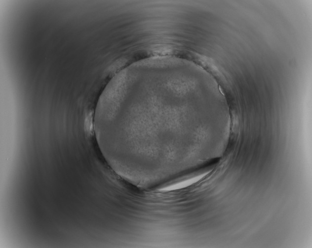 X0000094770383200711301531