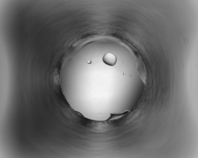 X0000094770384200711301531