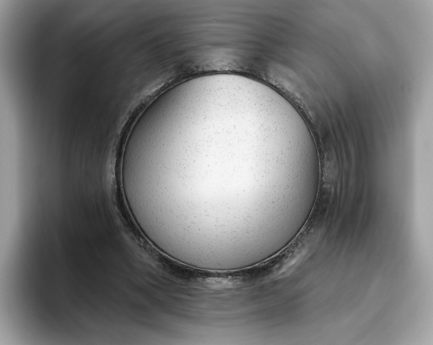 X0000094770394200711301530