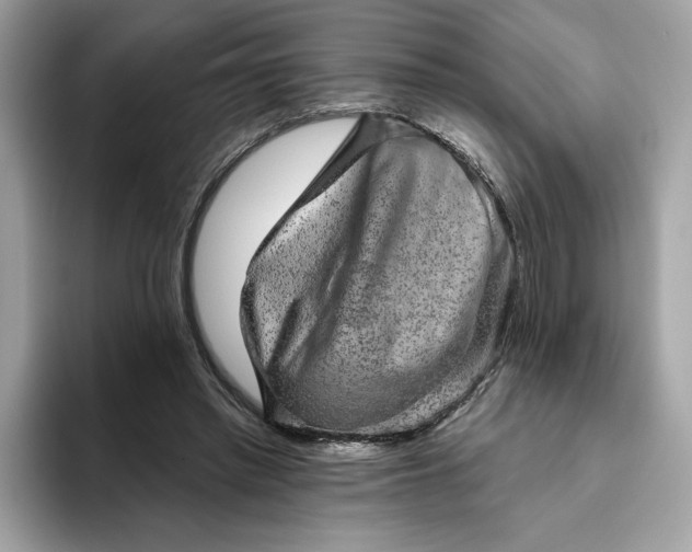 X0000094770397200711301530