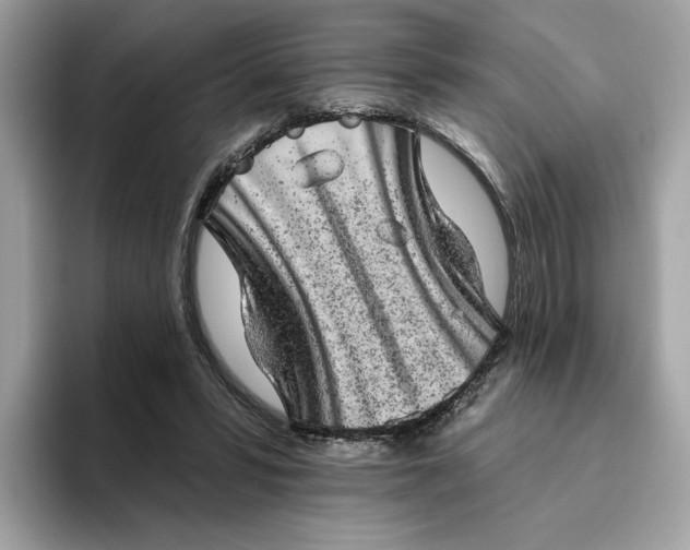 X0000094770399200711301530