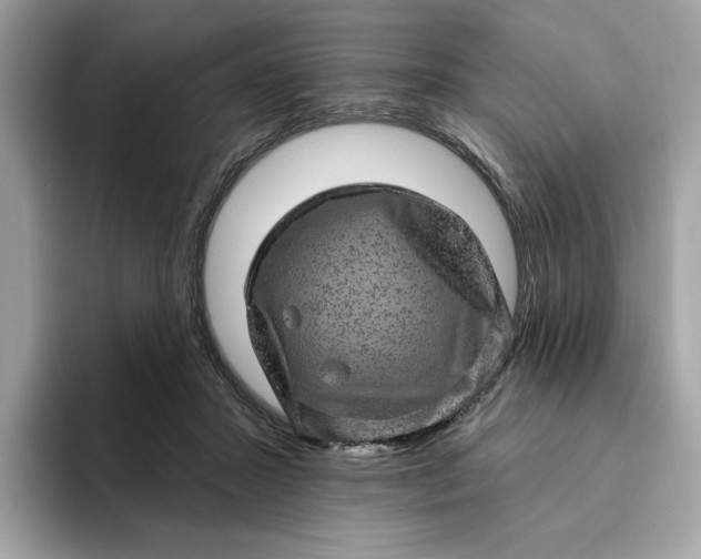 X0000094770407200711301530