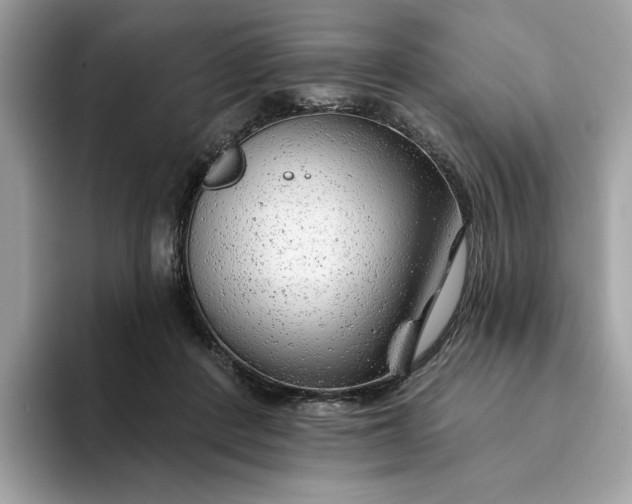 X0000094770408200711301530