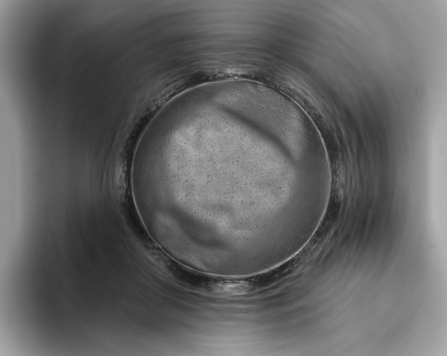 X0000094770410200711301530