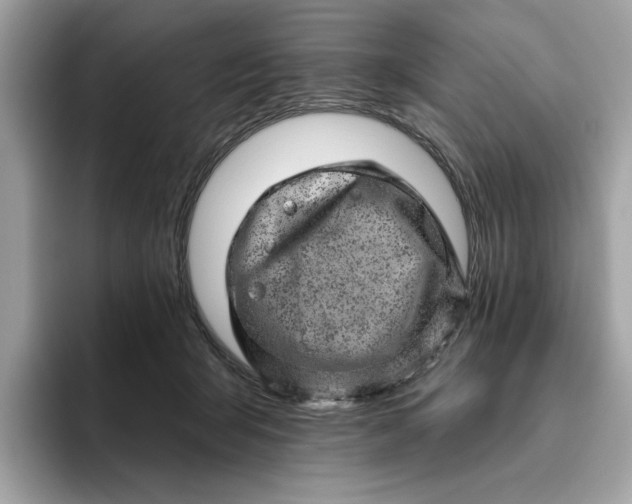 X0000094770415200711301530