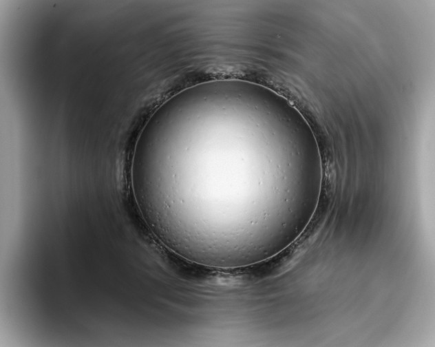 X0000094770416200711301530