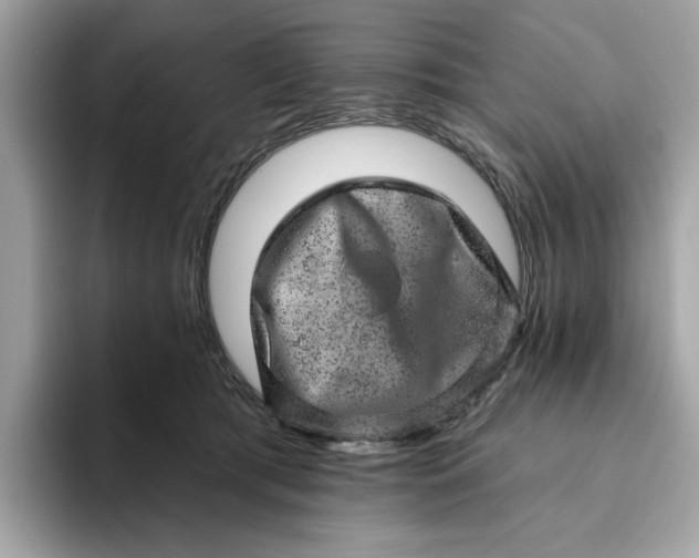 X0000094770417200711301530