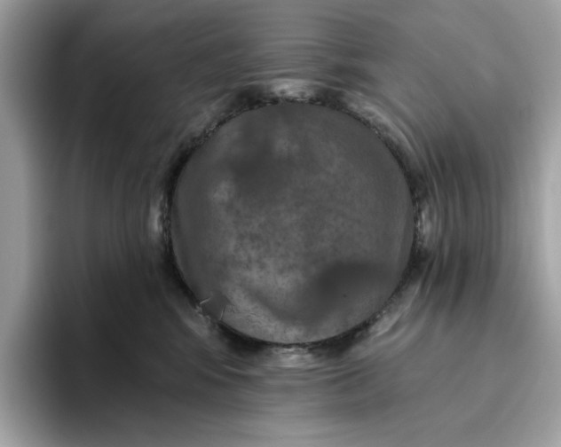 X0000094770424200711301530