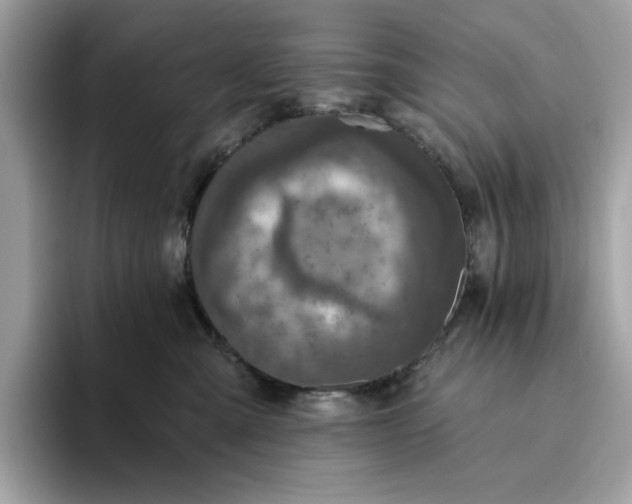 X0000094770427200711301530