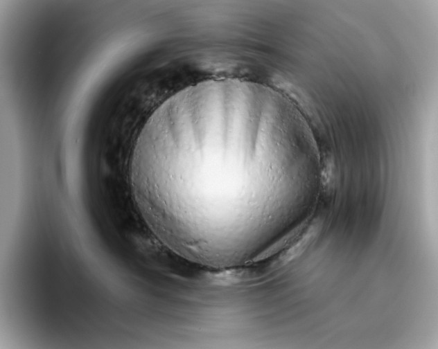 X0000094770430200711301530