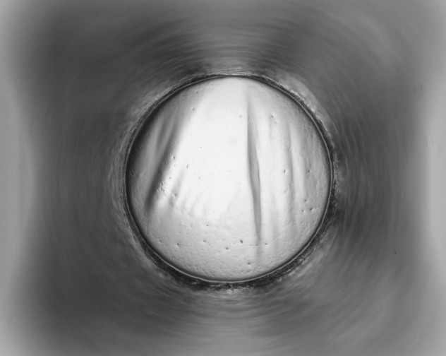 X0000094770433200711301529