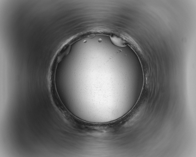 X0000094770436200711301529