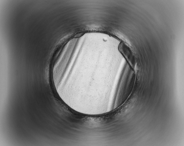 X0000094770442200711301529