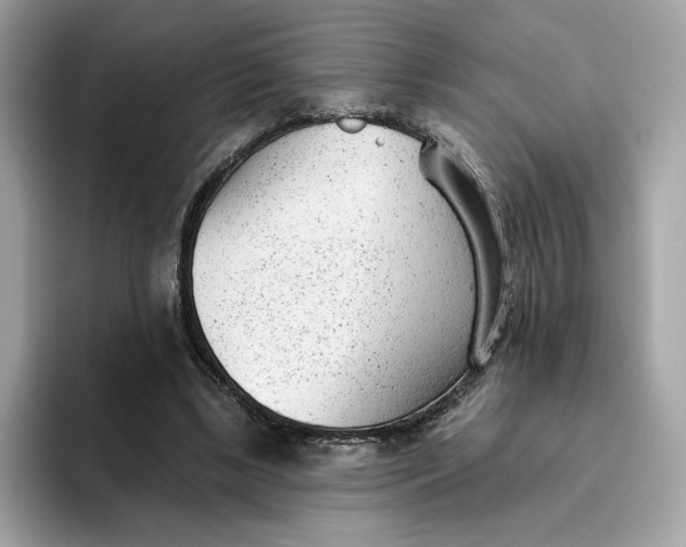 X0000094770443200711301529