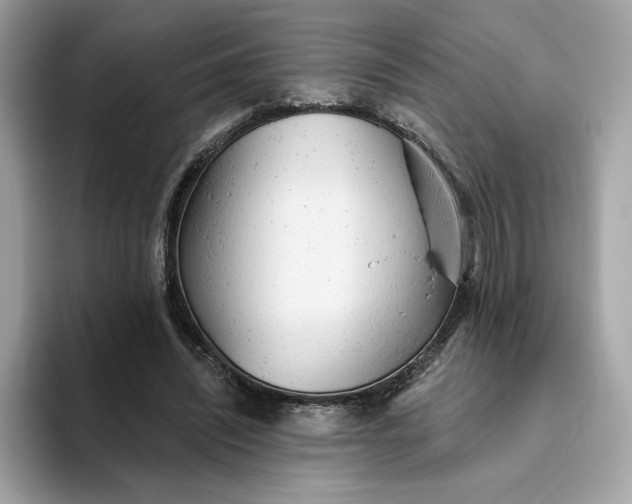 X0000094770444200711301529