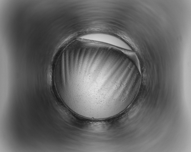 X0000094770446200711301529