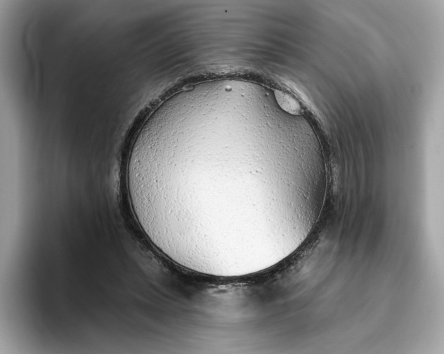 X0000094770447200711301529