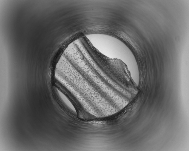 X0000094770448200711301529