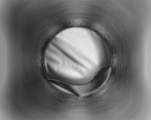 X0000094770450200711301529