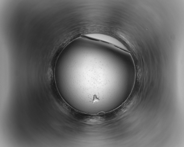 X0000094770459200711301529