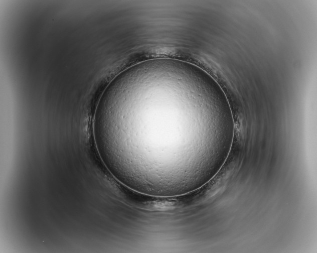 X0000094770462200711301529