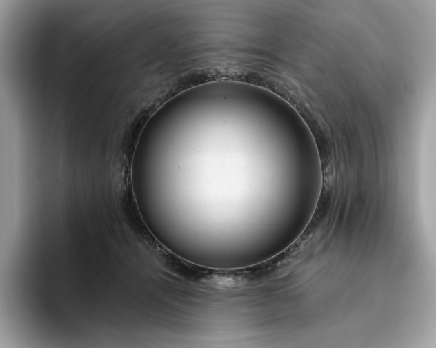 X0000094770464200711301529