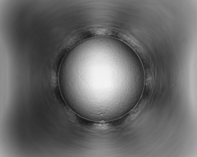 X0000094770469200711301529