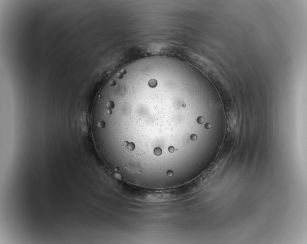 X0000094770470200711301529