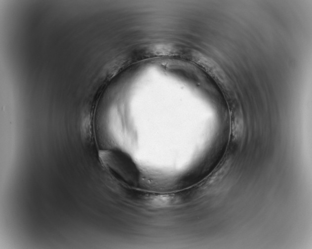 X0000094770473200711301530