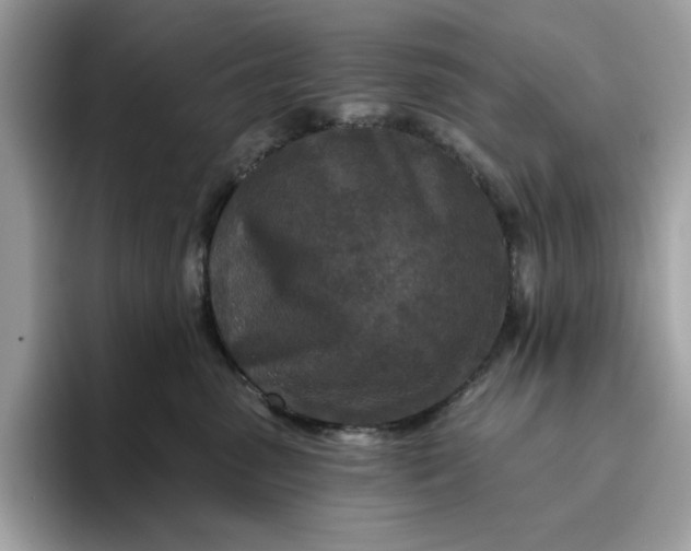 X0000094770475200711301530