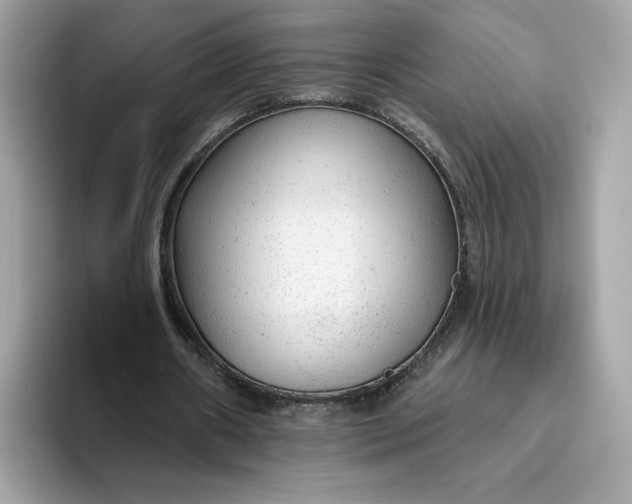 X0000094770482200711301529