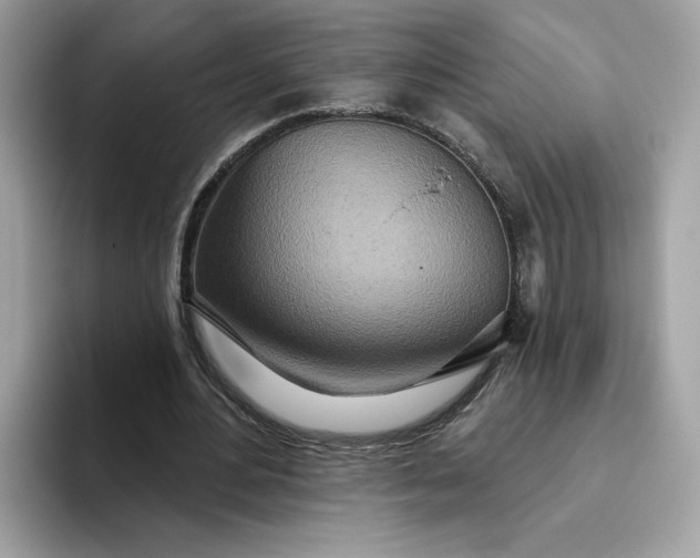 X0000094770484200711301529