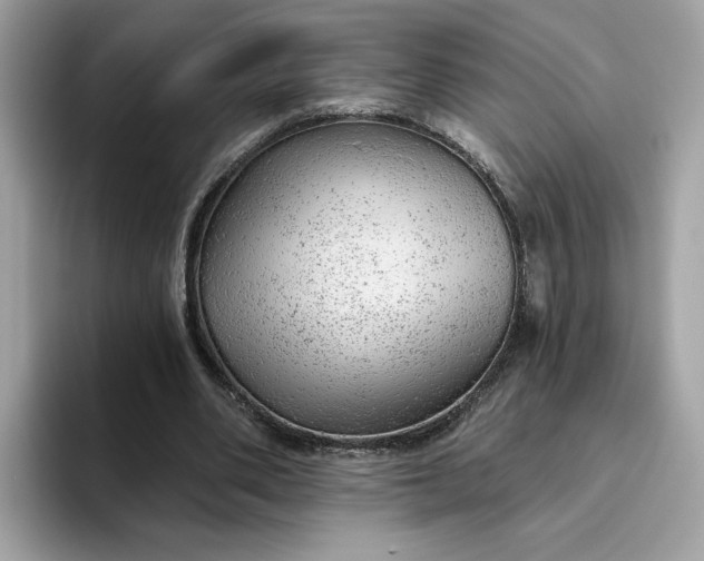 X0000094770486200711301529