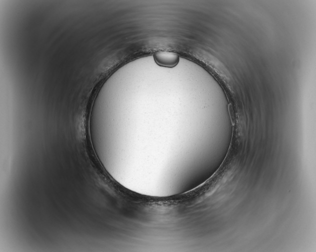 X0000094770489200711301529