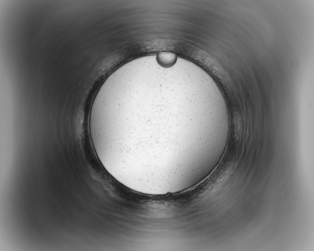 X0000094770490200711301529