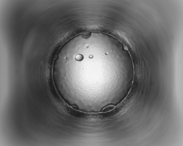 X0000094770495200711301529