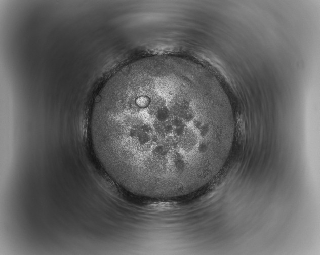 X0000094770499200711301529