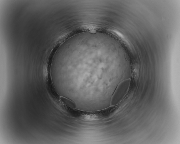 X0000094770500200711301529