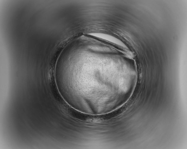 X0000094770503200711301529