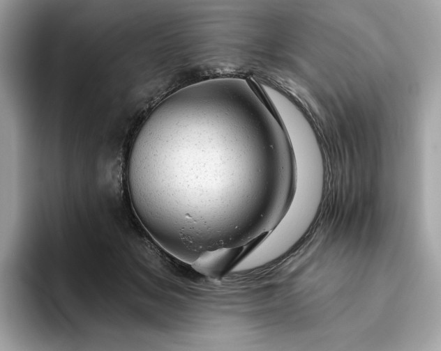 X0000094770509200711301529