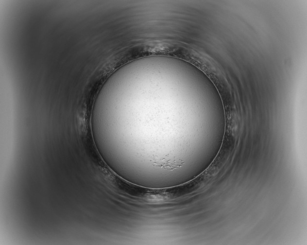 X0000094770510200711301529