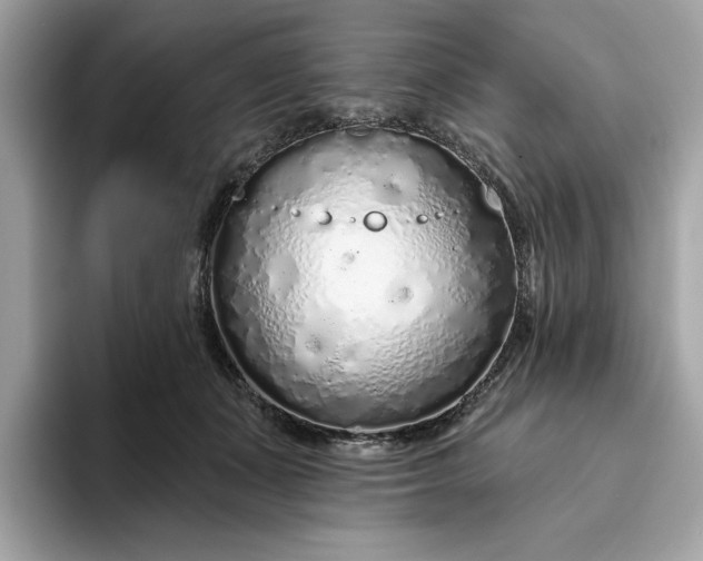 X0000094770511200711301529