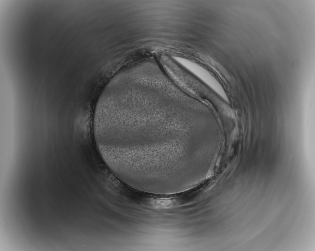 X0000094770513200711301529