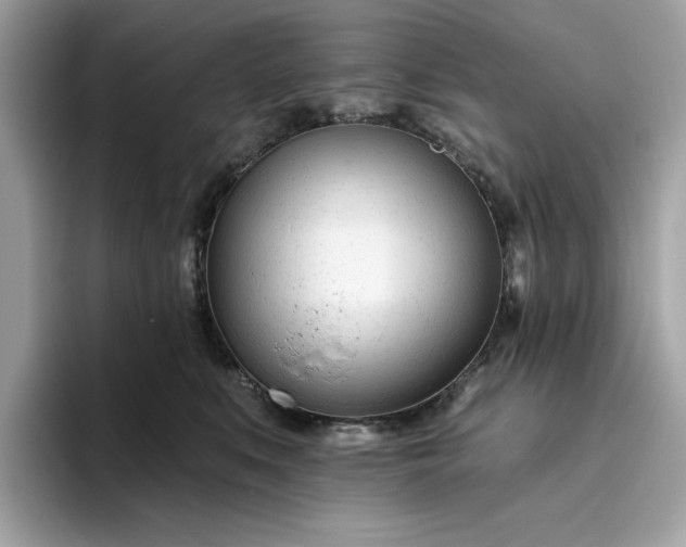 X0000094770519200711301528