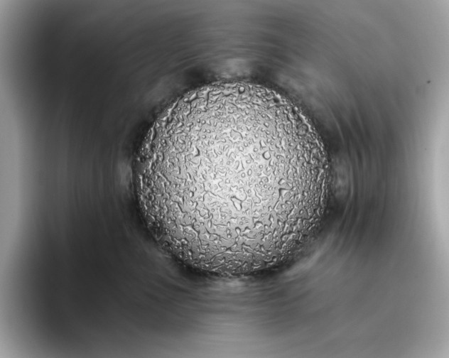 X0000094770523200711301528