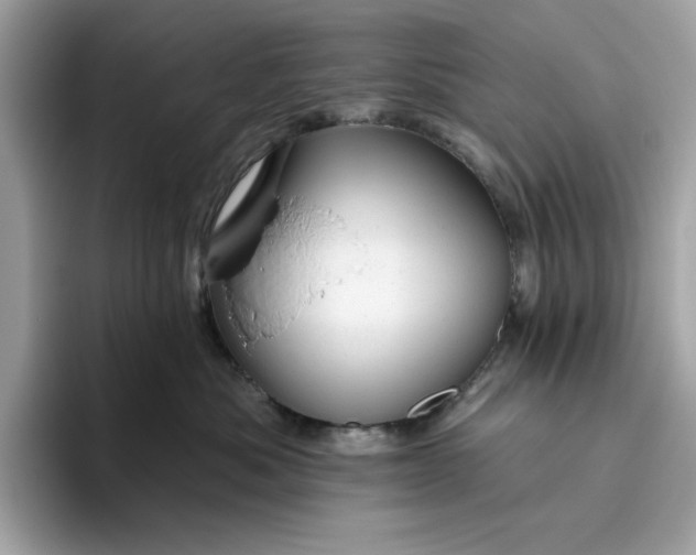 X0000094770525200711301528