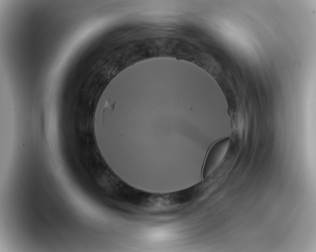 X0000094770526200711301528