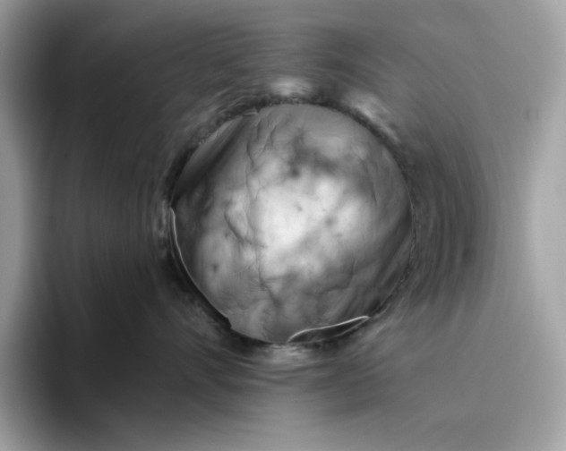 X0000094770528200711301528