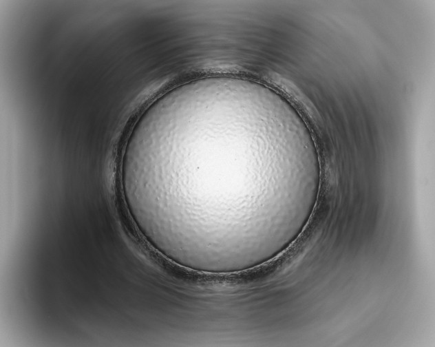 X0000094770533200711301528