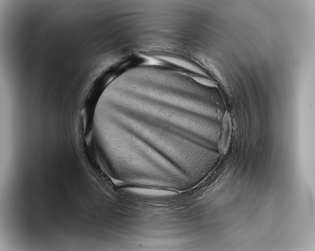 X0000094770539200711301528